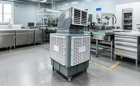 Why Moly air cooler unique from  others?