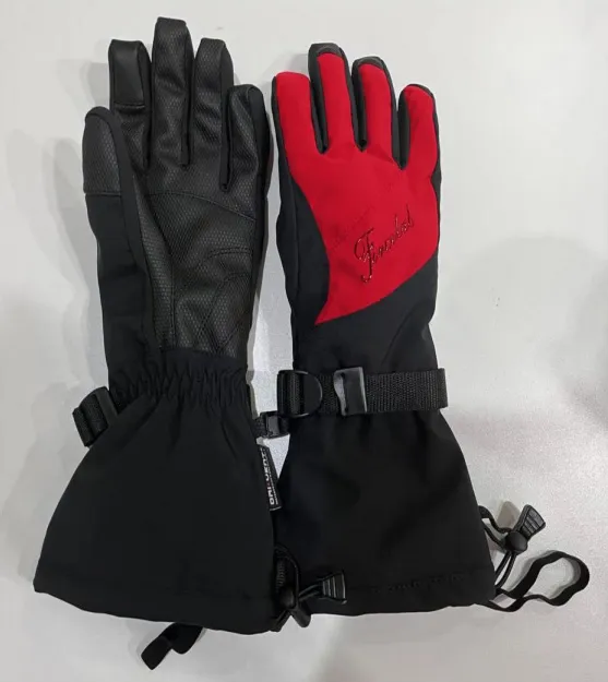 Ski Gloves