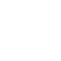 Professional & Fast Service