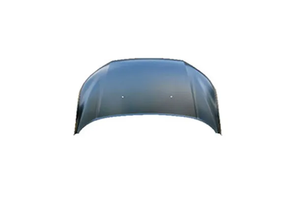 Hood for Ford EcoSport 2013