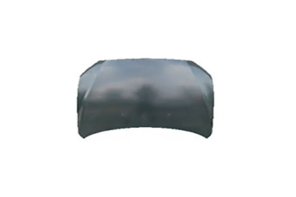 Hood for Mitsubishi Lancer Ex 2010