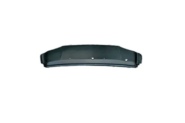Hood for Mitsubishi L300 2008