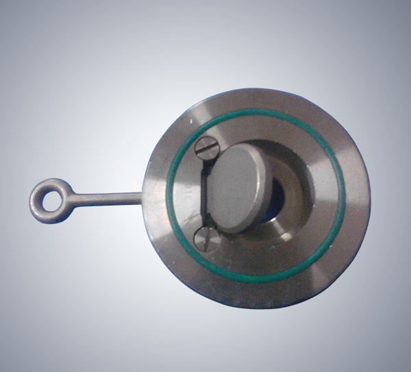 Clamp check valve