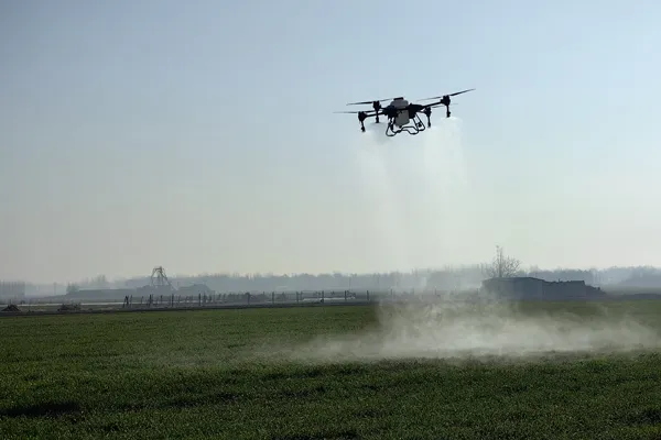 Drone "flying defense" helps scientific management of tea gardens