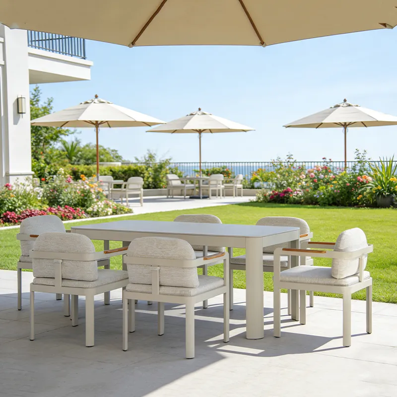 Lion Design TALENT Modern Minimalist Beige Dining Set (4 Chairs + 1 Sintered Stone Table, Aluminum Frame + Waterproof Cushions