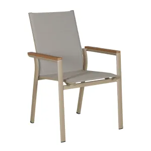 Champagne Gold &times; Premium Grey Teslin Armchair Plastic Wood Armrest Design