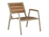 Champagne Gold Full Aluminum Armchair Teak Tone Plastic Wood Back & Seat