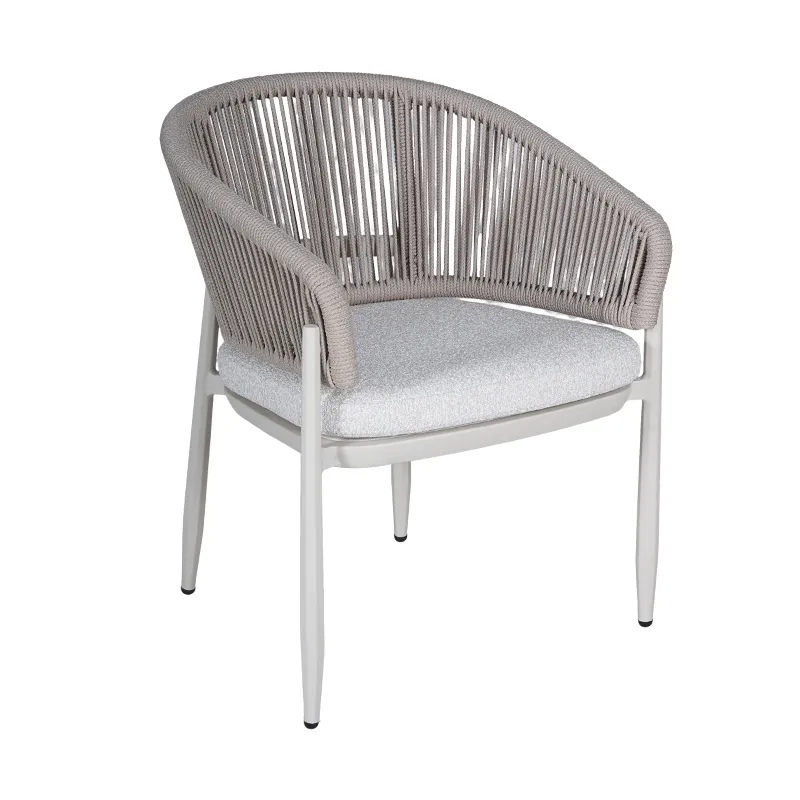 Lion Design Rope Weave Outdoor Dining Armchair  ## Modern Patio Chair with Vertical Rope Backrest & Cushion