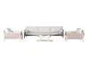 Lion Design Coastal Outdoor Modular Sofa Set Patio Lounge Set with Aluminum Frame and Woven Rope Sides