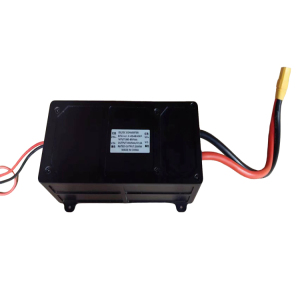 2000W Airborne Power