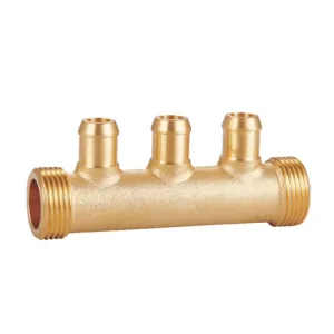 Manifold