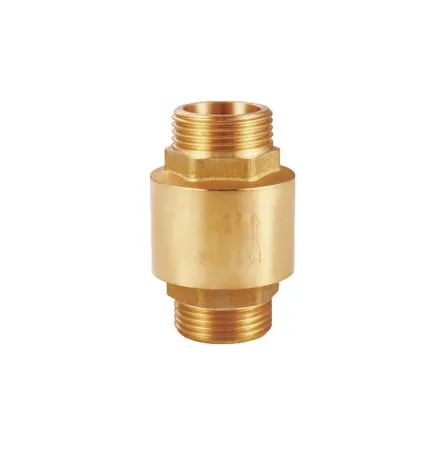 Check Valve