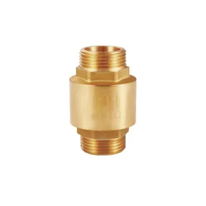 Check Valve