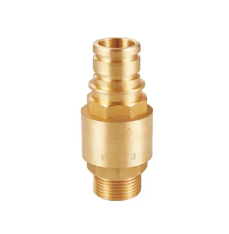 Non Return Valve