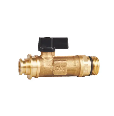 171000 Ball Check Valves