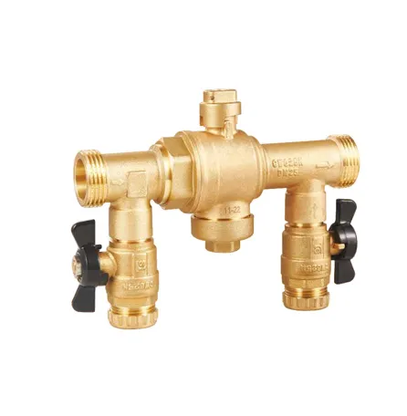 172100 Filter Valves