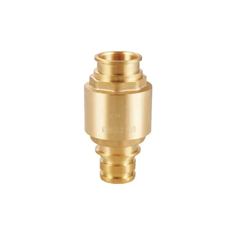 Spring Check Valve