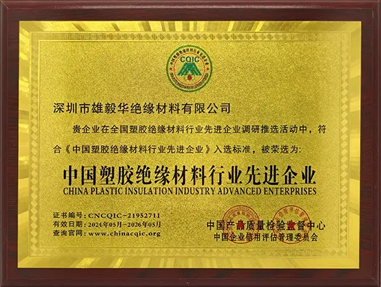 Advanced Enterprises