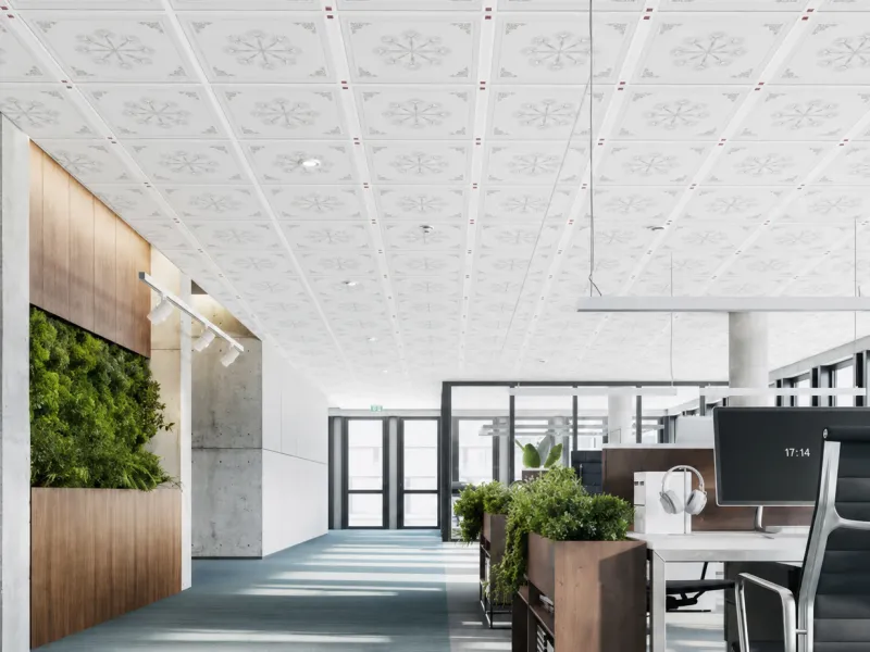 Ceiling Solutions for Office Buildings