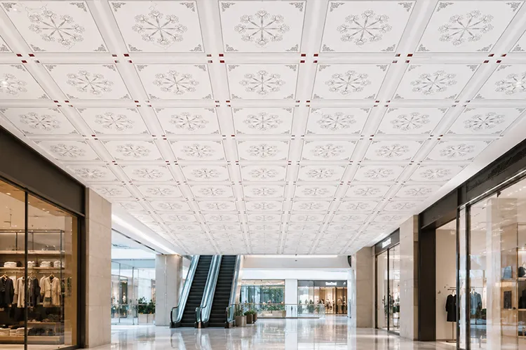 Ceiling Solutions for Shopping Malls and Retail Stores
