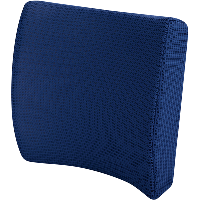 2556 Lumbar Support Cushion