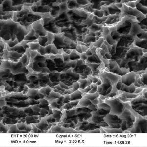 SLA Surface of Grade 4  Titanium