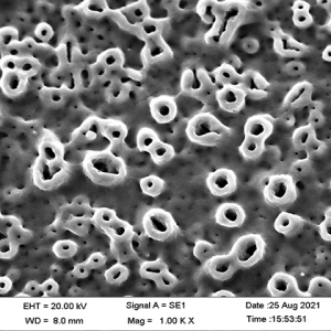  TIUnite Surface of Pure Titanium