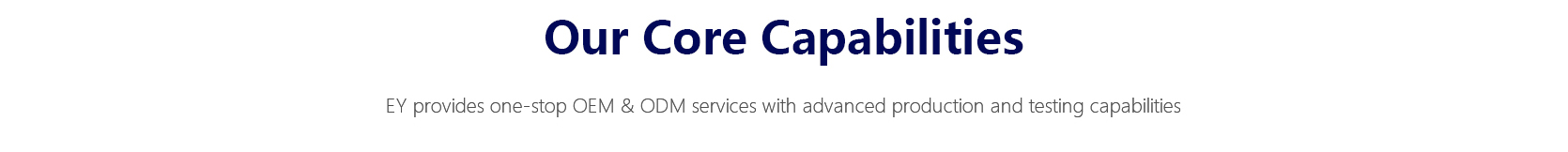 Our Core Capabilities 