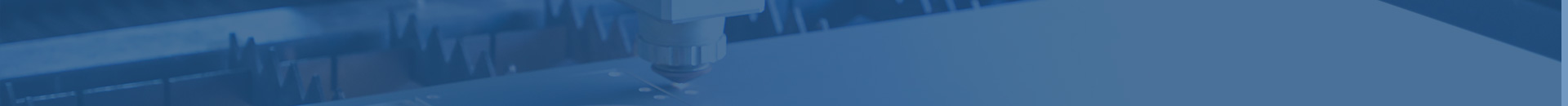 Main classification products