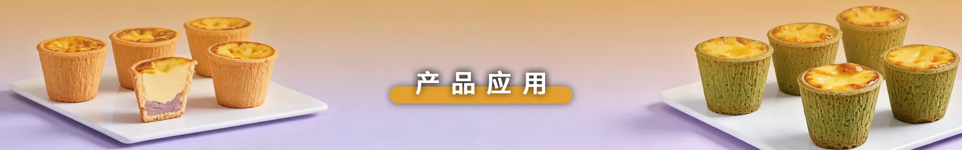 产品应用