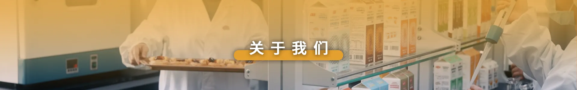 公司介绍s