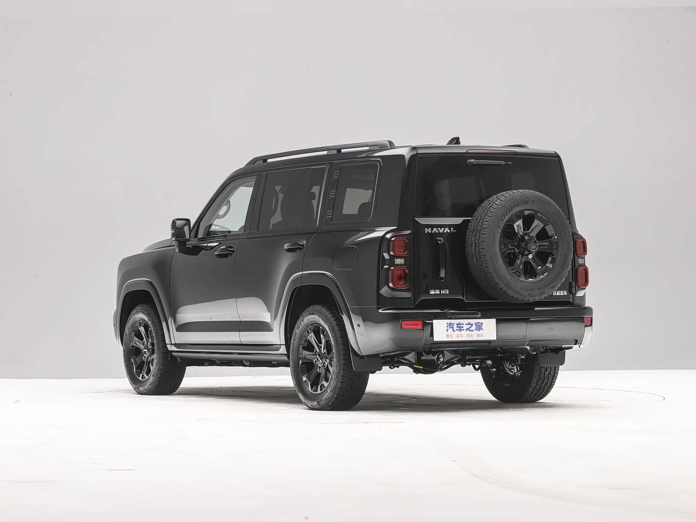 哈佛H9 (8).jpg