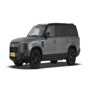 ROX 01 2024 Model Premium 6-Seat Long Range 