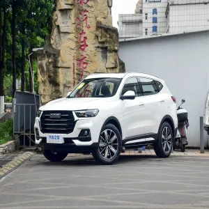 Haval H6 2025 1.5T National Trend Champion Edition