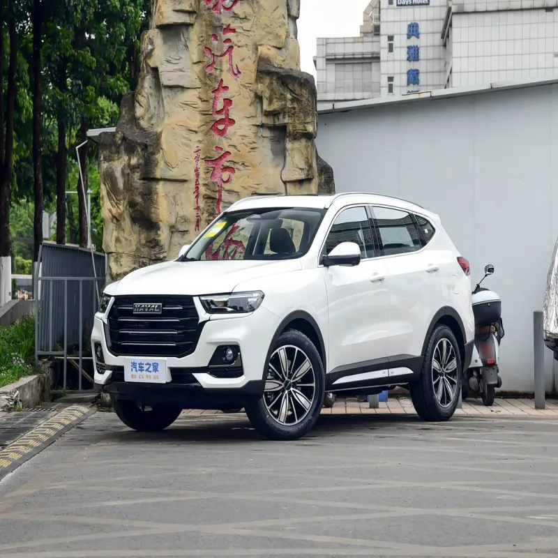 Haval H6 2025 1.5T National Trend Champion Edition