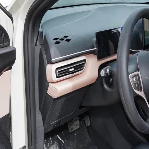 BYD Seagull 2025 إصدار القيادة الذكية 305 كم نموذج الحيوية