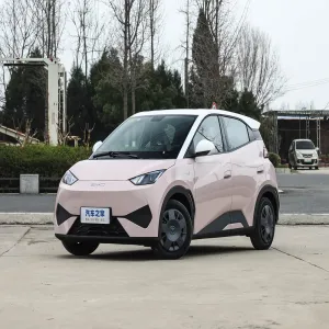 BYD Seagull 2025 Intelligent Driving Edition 305km Vitality Model