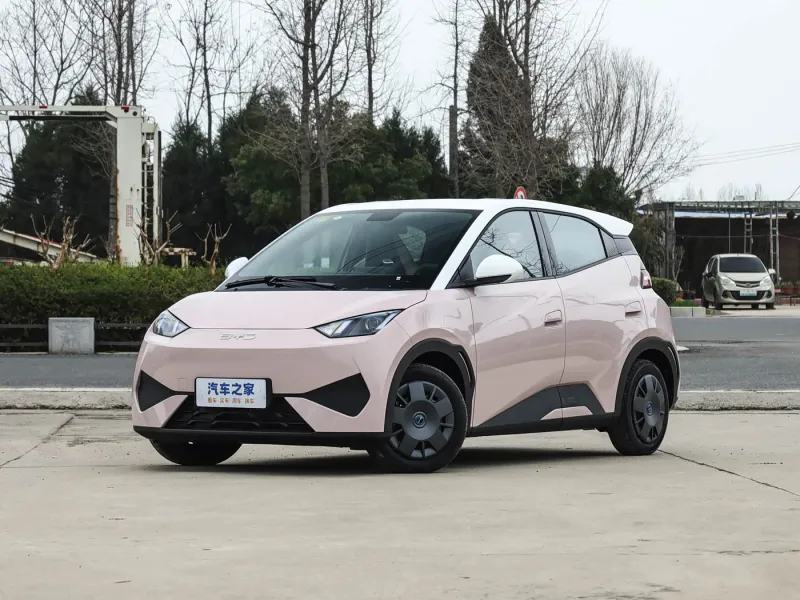 BYD Seagull 2025 Intelligent Driving Edition 305km Vitality Model