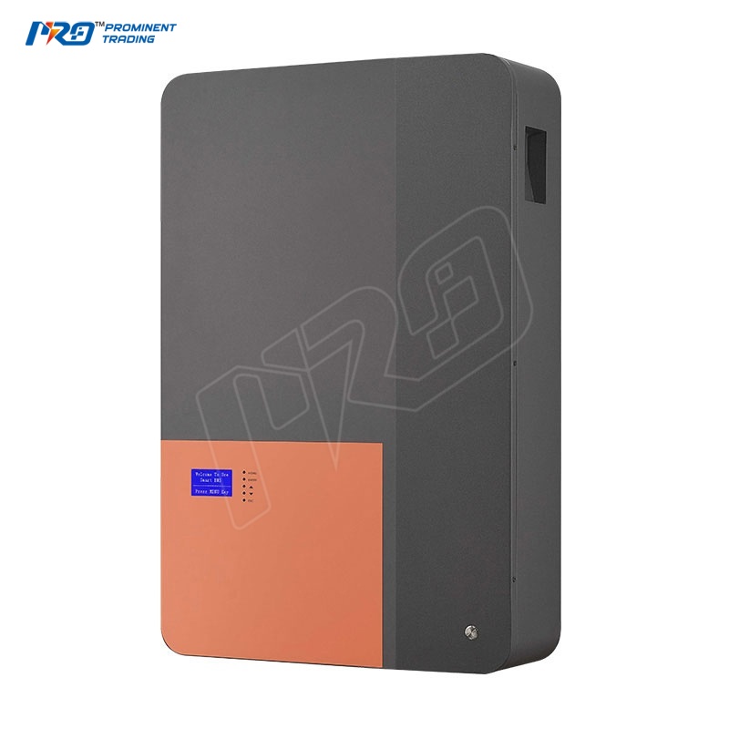 2、PTPW-B 48V 51.2V 200Ah Wall-Mounted Lithium Energy Storage Battery for Home Solar System-1.jpg