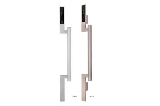MH-302 is equipped with a fully automatic 3D facial recognition visual intercom smart lock