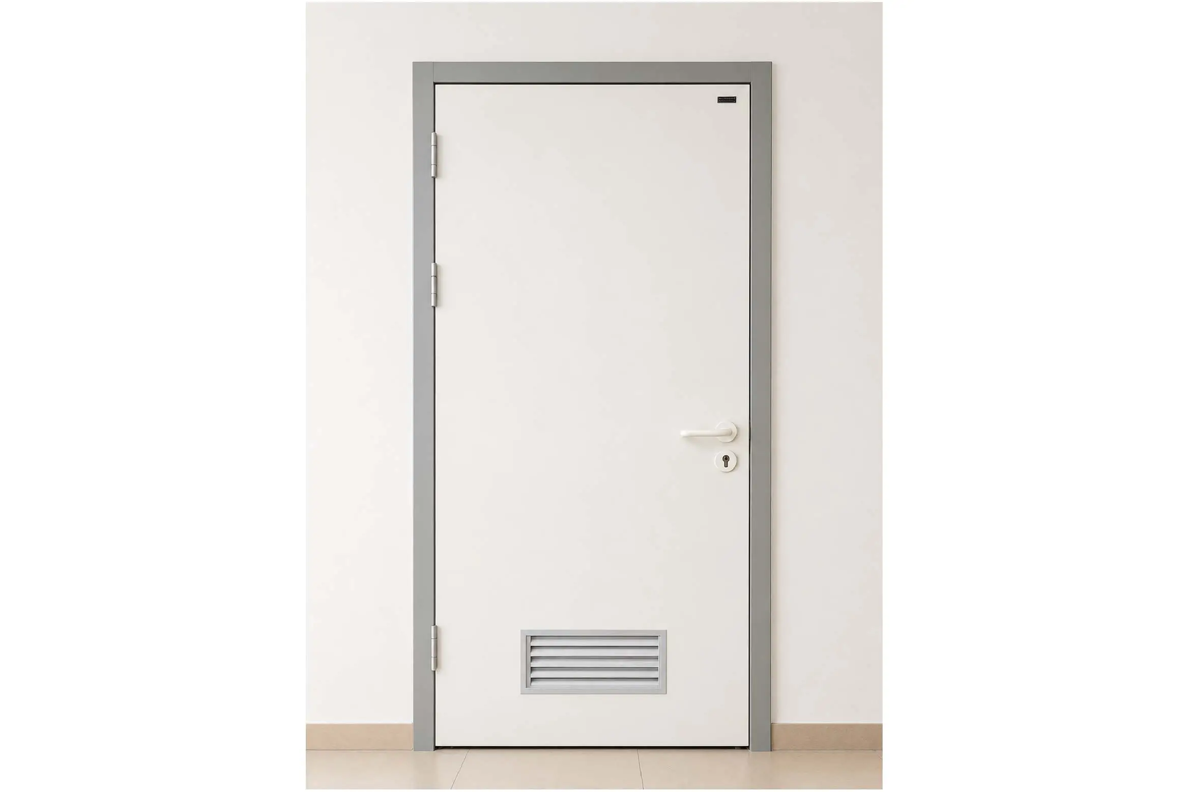 Steel bathroom door 