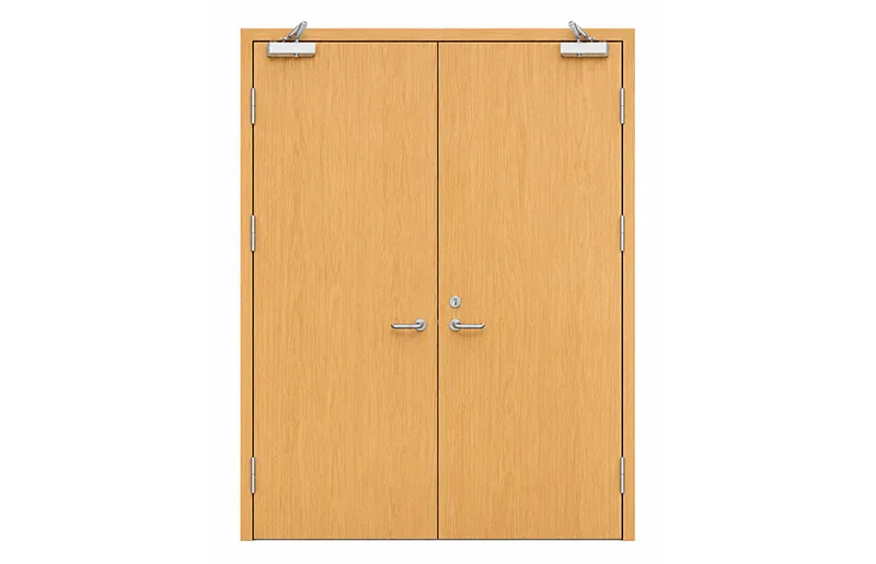 Wooden fireproof double-leaf door