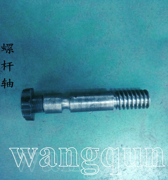 Tablet press screw shaft
