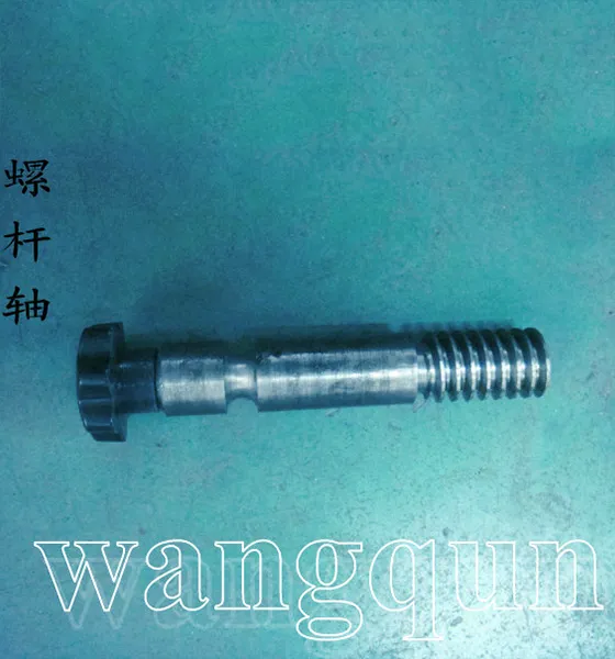 Tablet press screw shaft