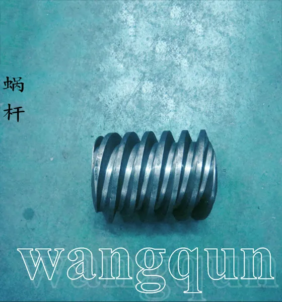 Tablet press worm