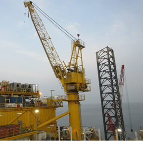 Ex grade WT-W650V3 Crane lmi safe load monitoring system for offshore pedestal crane 