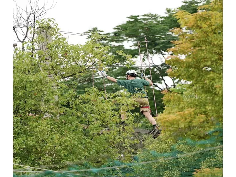 Scenic Jungle Crossing Expansion Equipment Outdoor Large Forest Aerial Zip Line Manufacturers Customized