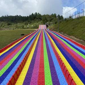 Plastic Roller Skating Slide Security ODM&OEM Playground Attraction and Safety Family Games rainbow Slide