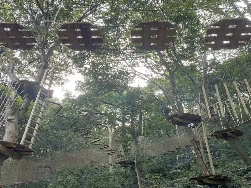 Scenic Park Outdoor Jungle Magic Net Through the Tree Trampoline Climbing Net rainbow Net Expansion Play Equipment