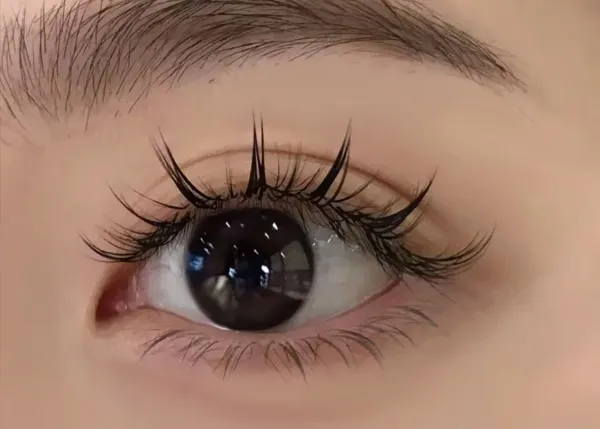 The Secret to Long - Lasting False Eyelash Wear